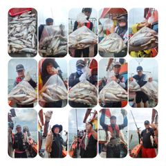 조황정보 - 8윌16일짱구투호 백조기조황 - 영흥도 짱구낚시 사진
