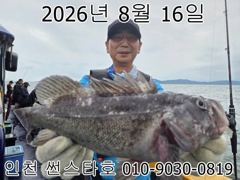 26년 8월 16일!! 인천 썬스타호 우럭대회 조황사진 입니다~^.^ 사진