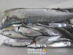 8/17야간고등어(예약가능)■군산킹스타호 ■에서~ 사진