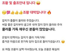 갈치 조황 대박! 씨알 대박! 갈치가 줄줄이 올라 올라오고 있습니다. 월요일 자리여유. 사진