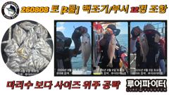 오늘의조황 - 8/8 토 [2물] 백조기/부서 12명 조항 입니다. - 루어파이터호 사진