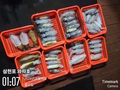팁런 조황입니다  사진
