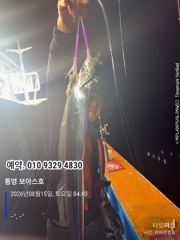 8월16일 보아스호  사진