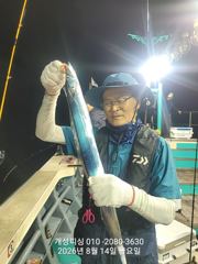 준내만 4지급 텐빈 은빛 갈치 마릿수 조황 내일부터 쭉 예약가능   사진