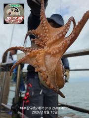 여수 짱구호  8월15일(토)k급 문어 조황 사진