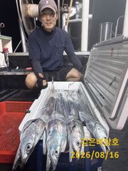 [제주 깊은바당호] 8월 16일 갈치 조황입니다