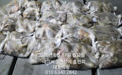 8월16일 군산 홈런호 야간 문어 출조 하였습니다!여기저기 히트소리...  실시간 구경들 하세요. 사진