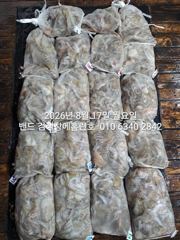 8월16일 굿 대박 조황..장원27수 군산홈런호 야간 문어 마무리 조황 입니다.조사님들 수고 하셨습니다! 사진