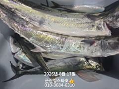 군산킹스타호(8/16)야간고등어 마무리(8/17출조모집~) 사진