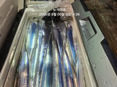 뉴 태진호  먼바다갈치 오늘오후3시 번출모집!!!! 사진