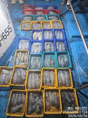 (팁런) 장원 41수외 11분 123수.선비 주중 10, 주말11. 사진