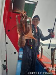 묵직한  야간밤문어  쉴 새 없이 즐거운 시간~오늘도  선방 사진