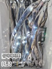 [텐빈]씨알끝장,기본3~4지 마리수까지(수요일부터 출항)