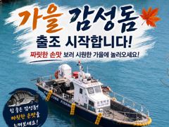 19일(수)가을마릿수감성돔출조합니다  사진