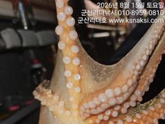▼▼리더호  재밌는 야간문어출조..매일출조 사진