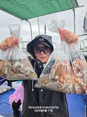 [여수,광양] 260817  여수돌문어조황 사진
