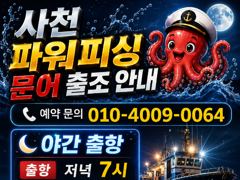 돌문어~주간/야간~쭉~예약받습니다. 사진