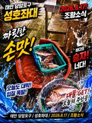 8.17 성호좌대 조황소식 사진