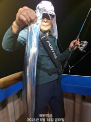 준내만갈치 씨알급 화요일부터 쭉~~달려 예약가능합니다  사진