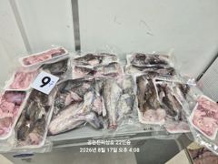 2026년8월17일 대구라바 쿨러조황!! 사진