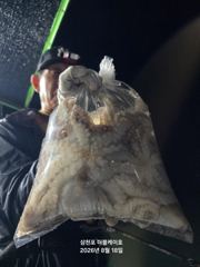 [먹물조황]삼천포문어낚시조황!주간반,야간반매일출조! 사진