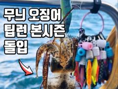 [ 무늬 팁런 ] 8월18일 화요일 정상 출항합니다.  사진