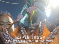[군산] 8월17일 굿조황 군산 홈런호 야간 문어 15명 조사님들 마무리… 사진