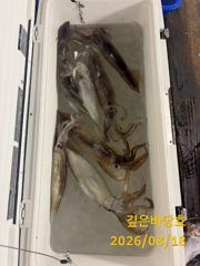 [제주 깊은바당호] 8월 17일 갈치 조황입니다