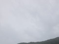 무늬오징어 팁런 “씨알급 엄청납니다~!!! << 오늘 >>예약가능~!!! 입질 시원하네요~!! 화요일 부터 정상출항