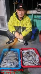 스페셜드림선단 8월18일 입항 무늬팁런 조황입니다 사진