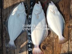 8/18, 생미끼~오늘도 굿 조황~내일도 갑니다~대광어 싸이즈 좋아요~실시간~농어,얼음돔,개우럭등도 굿굿~ "생미끼-민어,농어,광어~8월 평일, 선비 빅이벤트(선비8만)"~~ 군산 범고래호