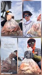 << 평일 출조일정 안내 >> 사진
