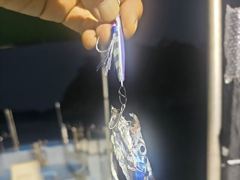 돌문어는 쭉~쭉  내만갈치는 퍽~퍽  예약가능