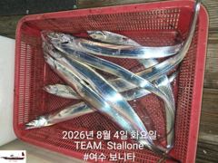 8월 18일 갈치 외쥴 출조합니다. 7자리 여유~~ 사진