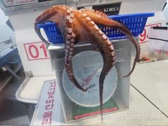 [진해] "여밭돌문어"1300g1200g1000g외 13수12수12수11… 사진