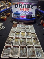 17일 무늬조황 사진