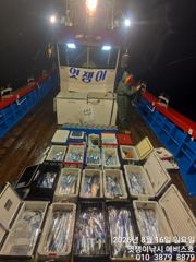 준내만갈치~빵좋은 대치들까지 쿨러 채우고~수요일부터 예약가능합니다