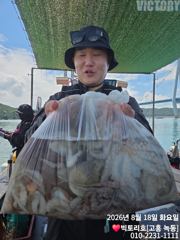 [고흥,녹동] 18일 문어 조황 입니다 사진