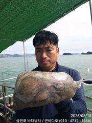 돌문어 마리수로 팍팍!! 사진