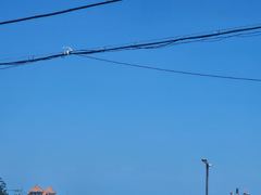 홍원항 전어꽃게축제 안내입니다. 사진