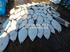8/18, 생미끼~쏟아지는 대광어`내일도 갑니다~대광어 싸이즈 굿굿~대박조황~농어,얼음돔,개우럭등도 굿굿~ "생미끼-민어,농어,광어~8월 평일, 선비 빅이벤트(선비8만)"~~ 군산 범고래호
