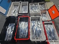 18일새벽,내만칼치 빗속에도 퍽퍽 텐빈,루어 엄청잡고~수,목,금욜 예약가능~ 사진