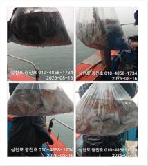 [광진호]문어[선비할인]주말,평일,자리여유 예약중~ 사진