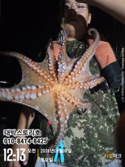 사량도 돌문어 (야간) 낚고낚고 kkkk 사진
