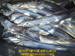 14일 텐빈 소식 씨알이 좋아요 사진