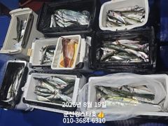 8/18 군산 대일피싱 킹스타호 조황입니다.   19일 6자리 있습니다. 사진