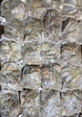 8월18일-대박 야간 문어 조황 사진
