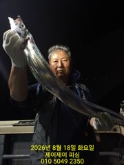 8월18일 대갈치 초 대박 조황 사진