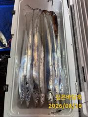 [제주 깊은바당호] 8월 18일 갈치 조황입니다 사진