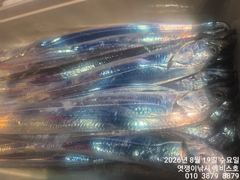 준내만갈치~역시 돼지대치들까지 쿨러 채우고~오늘부터 예약가능합니다